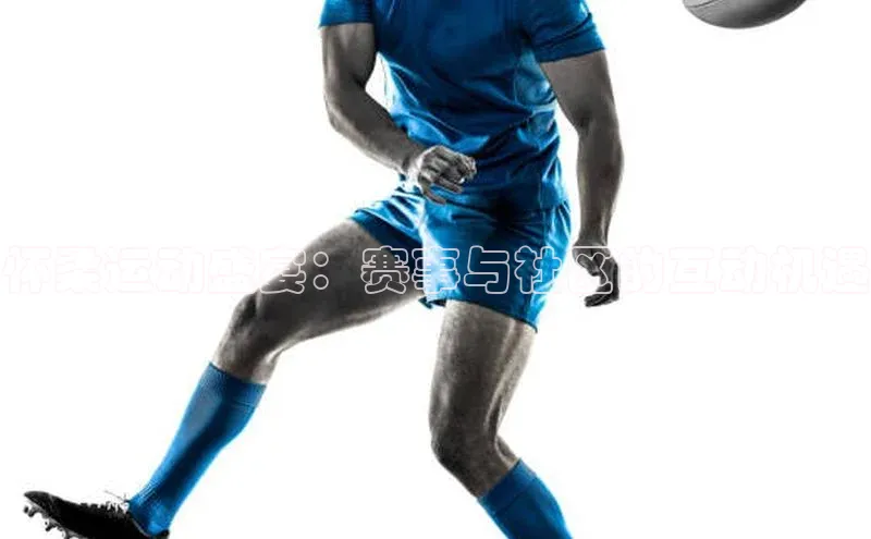 杏彩网页版注册地址