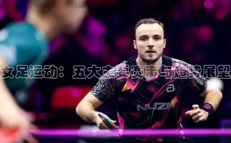 杏彩网站登录平台