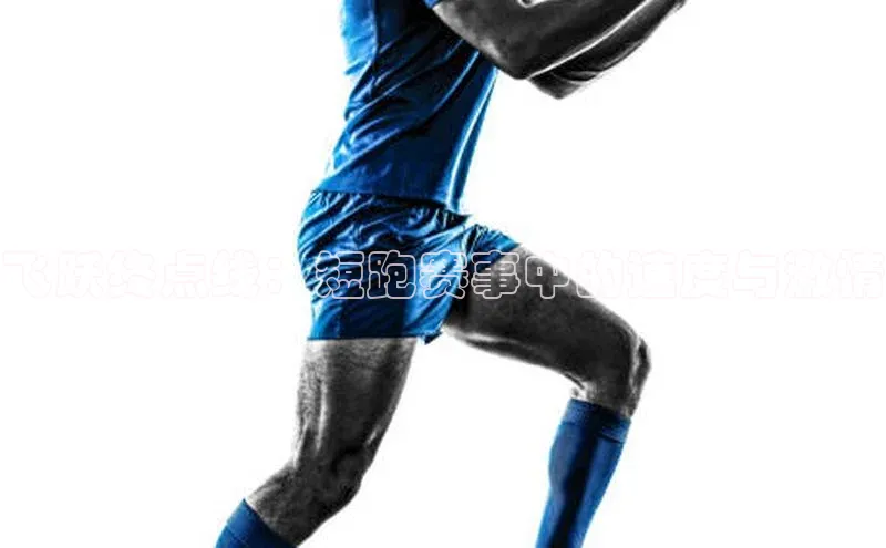 杏彩体育XCC Sports