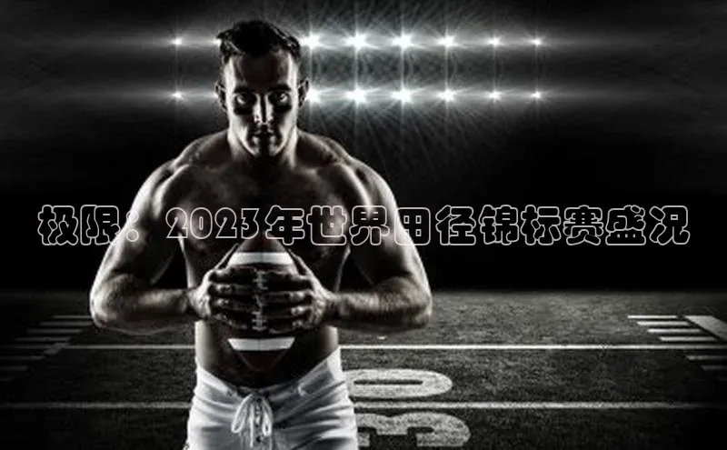 XC体育登录入口官网